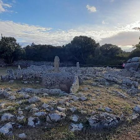 Casa Mario E Stefanina Daire Bassacutena Dış mekan fotoğraf