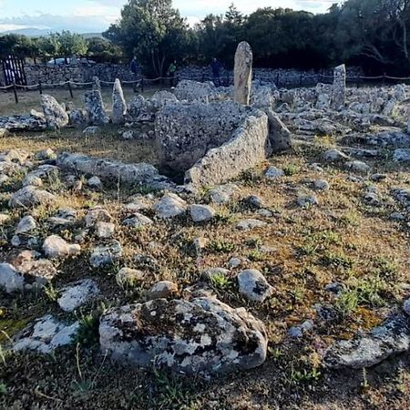 Casa Mario E Stefanina Daire Bassacutena Dış mekan fotoğraf