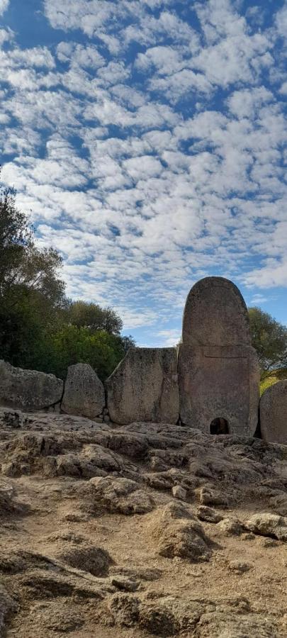 Casa Mario E Stefanina Daire Bassacutena Dış mekan fotoğraf