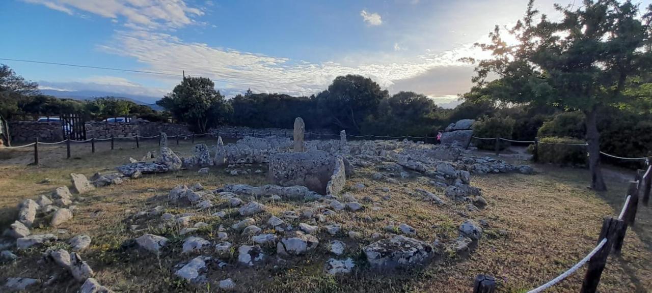 Casa Mario E Stefanina Daire Bassacutena Dış mekan fotoğraf