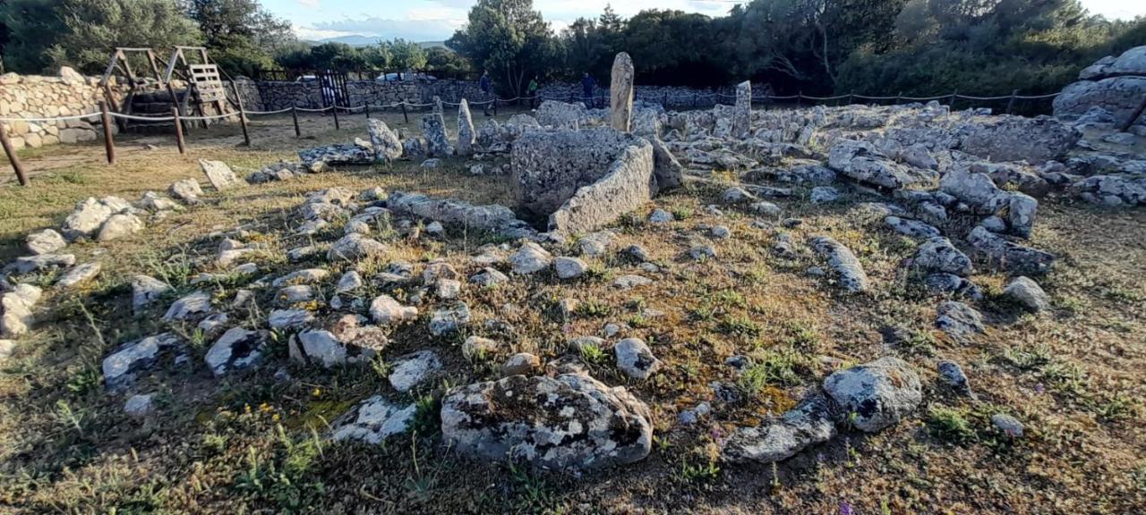 Casa Mario E Stefanina Daire Bassacutena Dış mekan fotoğraf