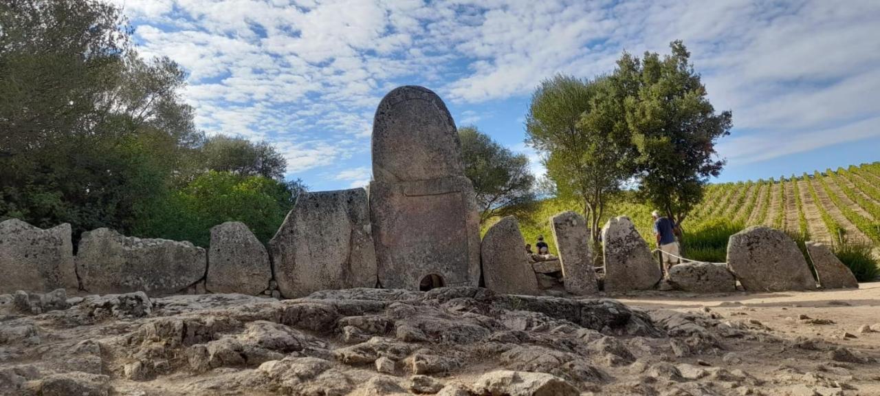 Casa Mario E Stefanina Daire Bassacutena Dış mekan fotoğraf